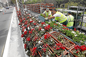 Tcnicos del Ayuntamiento de Valencia reponen las flores del puente. | Foto: Benito Pajares