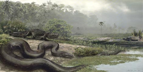 Recreación artística de la serpiente prehistórica hallada en Colombia. | Nature
