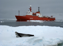 El buque Hesprides junto a una foca leopardo. | Carlos Duarte / CSIC