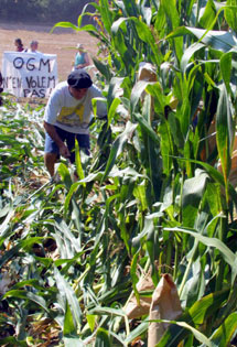 Manifestación en Francia contra cultivos de Monsanto. (Foto: AFP)