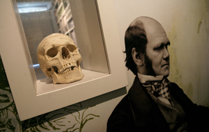 Una calavera junto a un retrato de Charles Darwin en su casa de Kent. | AFP