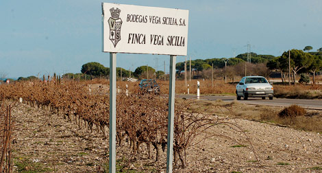 Finca de Vega Sicilia, en la Ribera del Duero vallisoletana. | J.M. Lostau