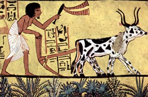 Pintura de un campesino arando, hallada en la tumba de Sennedyem, del ao 1200 a. C., en Egipto. | Wikimedia Commons