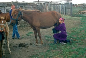 una mujer ordea una yegua en una aldea al norte de Kazajistn. | Efe