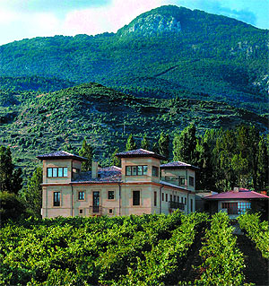 La produccin vitivincola, uno de los pilares de la economa riojana | Pepo Paz