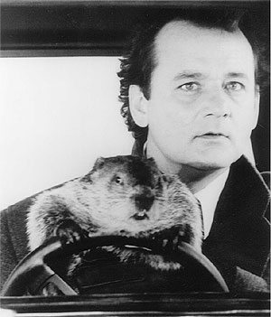 Fotograma de la pelcula 'Atrapado en el tiempo'. Bill Murray y la marmota. (Foto: El Mundo)