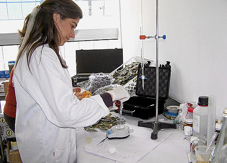 Lara Ferrero, biloga de Binot, en el laboratorio que la empresa tiene en el ParBit. | E.S.