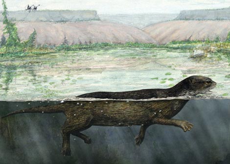 Reconstruccin de la 'Puijila darwini' nadando en el lago de un crter. / Mark A. Kilingler / Nature