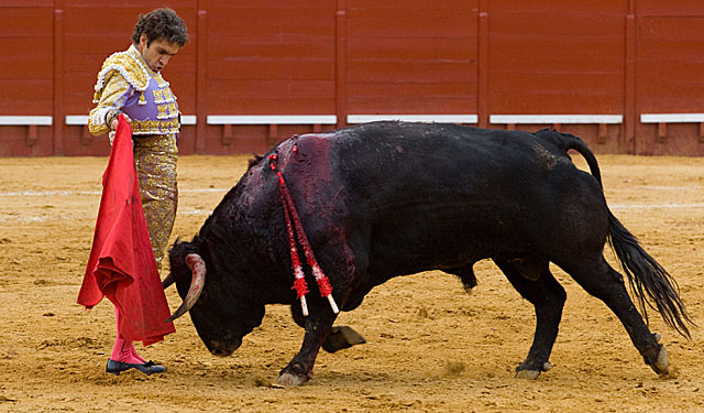 Jos Toms torea con la muleta a uno de sus astados en la Feria de Jerez. | Jos F. Ferrer