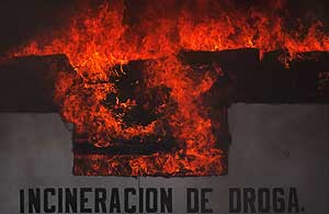 3,7 toneladas de drogas (cocana, marihuana, herona y cristal) incautadas por el ejrcito mexicano fueron incineradas en Tijuana el pasado 20 de mayo. | Ap