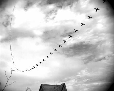 Imagen de los distintos momentos del vuelo de cortejo del colibr de Ana. | C. Clark