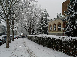 Imagen del Colegio Mayor en pleno invierno. | M. G. C.
