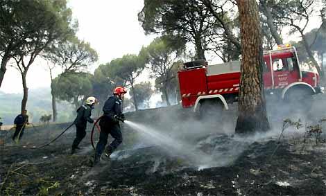 Incendio forestal entre Navas del Rey y San Martin de Valdeiglesias (Foto: Chema Tejeda)