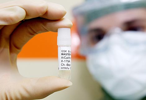 Una muestra del virus H1N1 para la preproduccin de la vacuna. | Reuters/GSK