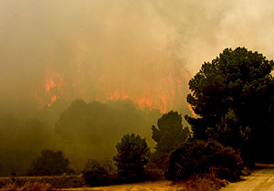 El fuego avanza por un bosque a las afueras de Valmadrid, Zaragoza | Efe