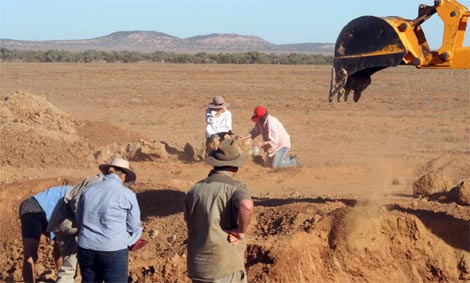 Los paleontlogos australianos, en la excavacin. |EFE