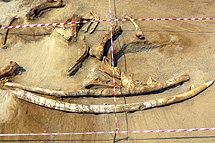 El yacimiento donde encontraron los colmillos de mastodonte. | Efe