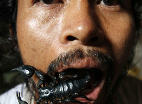 Suang Puangsri coloca uno de los insectos en su boca. | Reuters