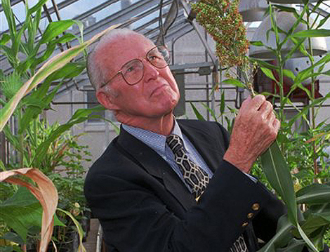 Norman Borlaug, padre de la agricultura moderna | Obituarios | elmundo.es