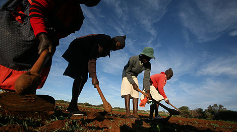 Trabajadores en unas tierras de Zimbabue. | AP
