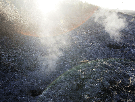 Dos fumarolas brotan de un incendio de turbas en Daimiel. | Efe