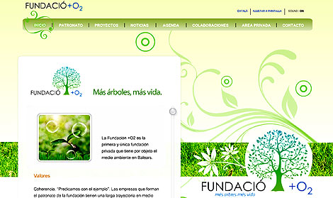Web de la Fundacin