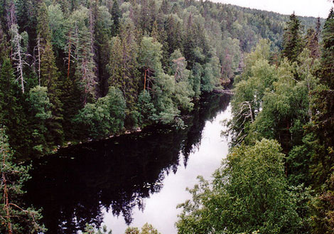 Parque Nacional Helvetinkolu Finlandia. | Petritap.