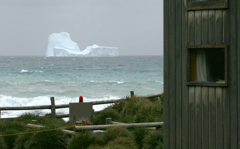 El grupo de icebergs pasando por las islas Macquarie.| AFP Photo.