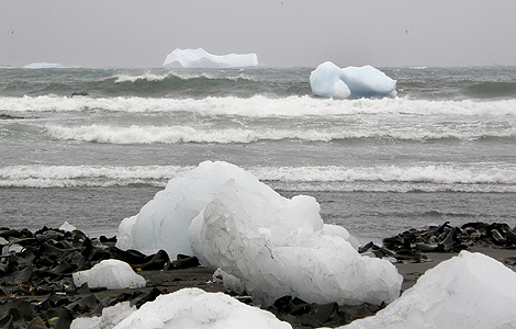 Icebergs cerca de la isla australiana de Macquarie. | AFP