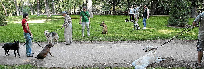 Personas con sus mascotas en el madrileo parque del Retiro. (Foto: O. Monzn)
