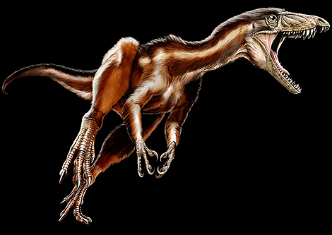 Reconstrucción del nuevo dinosaurio del Triásico 'Tawa hallae'. | Science