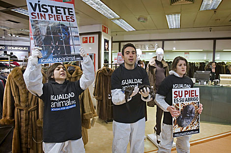 Miembros de 'Igualdad animal', durante la protesta en un centro comercial. | Efe
