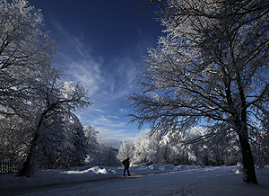 Un hombre camina por un bosque nevado en Alemania. | Reuters