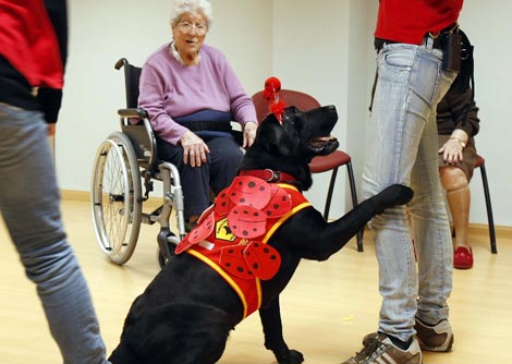 Terapia con perros para el alzheimer. | Enrique Carrascal