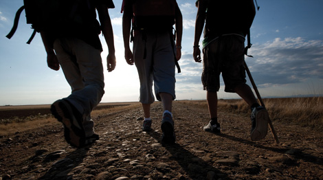 Tres peregrinos caminan a los largo de la sensa jacobea. | Foto: Imagen M.A.S.