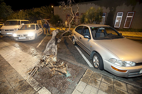 El fuerte viento registrado en la isla de Tenerife derrib un rbol en una cntrica calle. | Efe