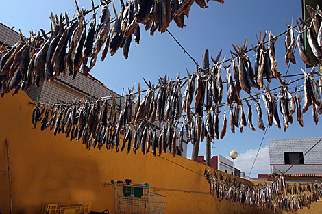 Cordeles de 'volaores' puestos a secar en la puerta de una casa particular en La Atunara. | Francisco Ledesma