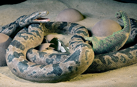 Reconstrucción de la serpiente y de un dinosaurio recién nacido. | Tyler Keillor