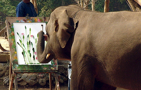 Un elefante pinta un lienzo con ayuda de su cuidador. | Efe