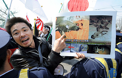 Un activista durante una protesta contra la caza de ballenas por parte de Japn.| Efe