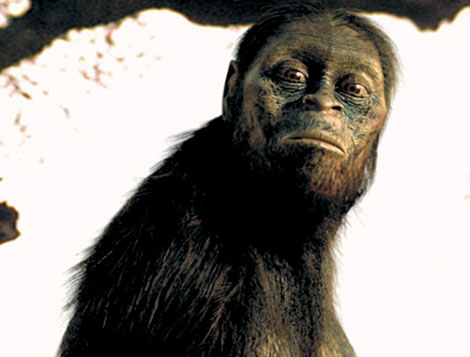 Recreación de la 'Australopithecus afarensis', 'Lucy'. | FRANCE 3.