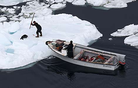 Cazadores de focas en el primer da de la campaa 2010. | AFP