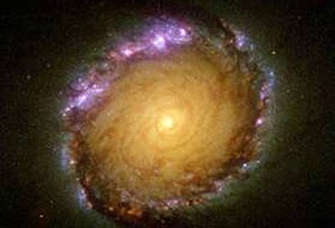 Anillo nuclear de la galaxia NGC1512. Las zonas violetas son regiones de formacin de estrellas. | NASA | ESA