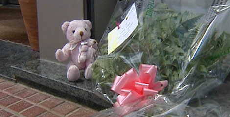 Un peluche y unas flores muestran sus condolencias por el suceso. | Efe