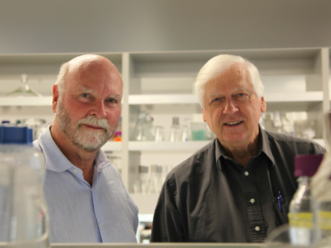J. Craig Venter (i) y Hamilton Smith en su laboratorio de San Diego. | Efe