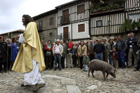 La bendicin del cerdo es una tradicin de races judas. | Efe
