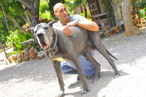 Jos Arce junto a su dogo argentino. | Alberto Vera
