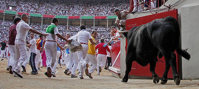El toro que ha cerrado el encierro, a su llegada al coso de Pamplona. | Efe