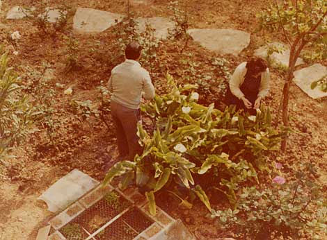 Teofila y Antonio trabajando en el jardn de El guila | Archivo personal