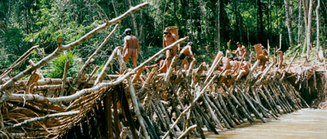 Presa realizada por los indgenas en la Amazona. | Survival